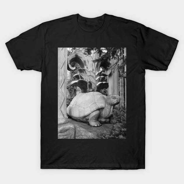 Bronx Turtle - BW T-Shirt by HandMadingGift